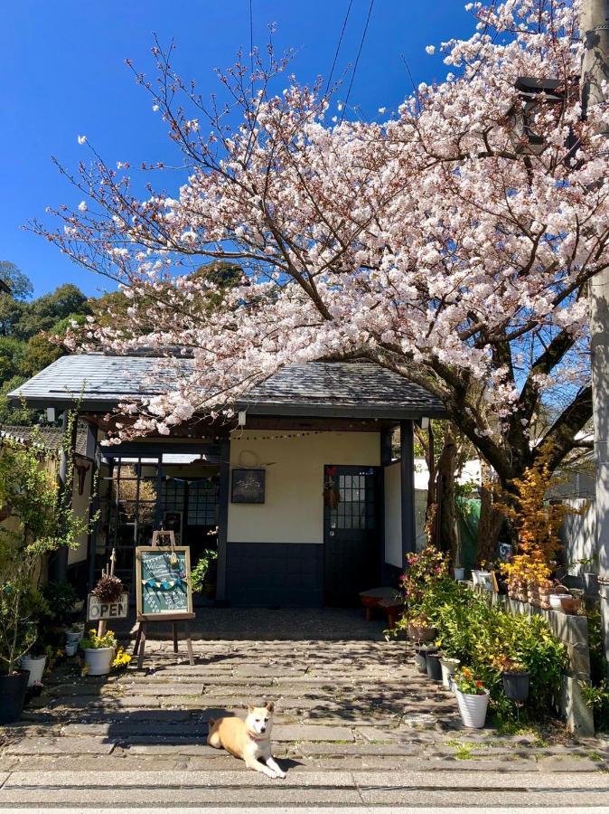 Yasuragi Guest House & Bar Hita Exteriör bild